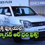 ఫ్లెక్స్ ఫ్యూయల్ వాగన్ ఆర్ వచ్చేసింది.. ధర ఎంతంటే?