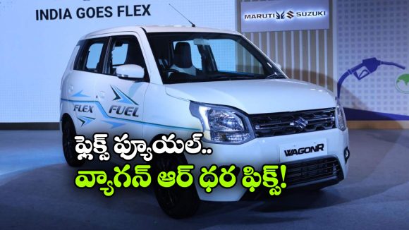 ఫ్లెక్స్ ఫ్యూయల్ వాగన్ ఆర్ వచ్చేసింది.. ధర ఎంతంటే?