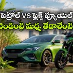 ఫ్లెక్స్ ఫ్యూయల్ vs పెట్రోల్ వాహనాలు.. రెండింటి మధ్య తేడాలేంటో తెలుసా?