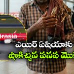 పనస మొక్క వల్ల రూ.90 వేలు జరిమానా కట్టిన ఎయిర్ ఏషియా, ఎందుకంటే?