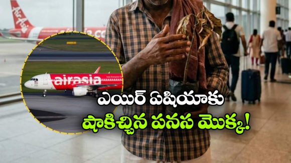 పనస మొక్క వల్ల రూ.90 వేలు జరిమానా కట్టిన ఎయిర్ ఏషియా, ఎందుకంటే?
