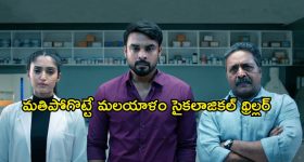 చిన్న పిల్లలను టార్గెట్ చేసే సైకో... నరాలు కట్టయ్యే థ్రిల్లర్