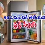 ఫ్రిడ్జ్‌లో ఈ చిన్న సెట్టింగ్ మార్చితే.. కరెంట్ బిల్లు తగ్గడంతో పాటు రిఫ్రిజిరేటర్ లైఫ్ కూడా పెరుగుతుంది!