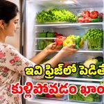 ఫ్రిజ్‌లో పెట్టినా కూరగాయలు పాడవుతున్నాయా? మీరు చేసే ఆ చిన్న తప్పే కారణం!