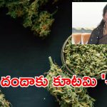 858 హాట్ స్పాట్స్, 40 వేల ‘ఈగల్ క్లబ్స్’.. గంజాయిపై కూటమి సర్కార్ ఉక్కుపాదం!