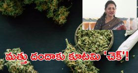 858 హాట్ స్పాట్స్, 40 వేల 'ఈగల్ క్లబ్స్'.. గంజాయిపై కూటమి సర్కార్ ఉక్కుపాదం!