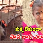 చిన్నారి మిస్సింగ్ కేసులో బిగ్ ట్విస్ట్.. కీలక ఆధారమైన కుక్క మృతి