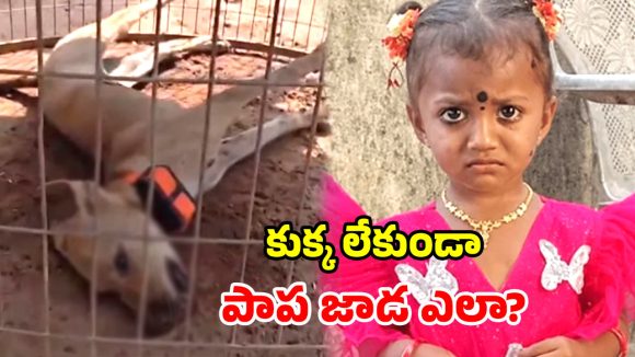 చిన్నారి మిస్సింగ్ కేసులో బిగ్ ట్విస్ట్.. కీలక ఆధారమైన కుక్క మృతి