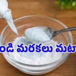 రూపాయి ఖర్చు లేకుండా.. ఇంట్లోని గాజు వస్తువులను డైమండ్‌లా మెరిపించే సూపర్ ఐడియా!