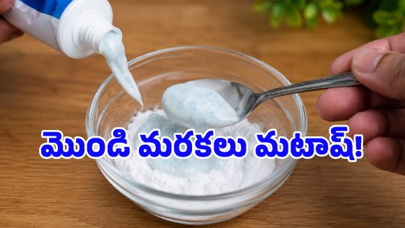 రూపాయి ఖర్చు లేకుండా.. ఇంట్లోని గాజు వస్తువులను డైమండ్‌లా మెరిపించే సూపర్ ఐడియా!