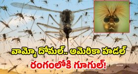అమెరికాలోకి 3.2 కోట్ల దోమలను వదిలిపెట్టనున్న గూగుల్.. ఇదెక్కడి ప్లాన్ మామ?