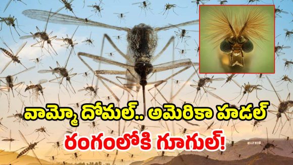 అమెరికాలోకి 3.2 కోట్ల దోమలను వదిలిపెట్టనున్న గూగుల్.. ఇదెక్కడి ప్లాన్ మామ?