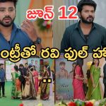 Gundeninda GudiGantalu Today episode: రవికి టెన్షన్.. విడాకులు తీసుకుంటున్న శృతి.. హమ్మయ్య మీనా ప్లాన్ సక్సెస్..
