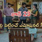 Gundeninda GudiGantalu Today episode: బాలు ప్లాన్ సక్సెస్.. కన్నీళ్లు పెట్టుకున్న మీనా.. రోహిణికి దిమ్మతిరిగే షాక్..