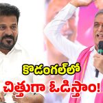 ‘మెునగాడు కాదు.. మోసగాడు’.. సీఎం రేవంత్‌పై విరుచుకుపడ్డ హరీశ్ రావు!