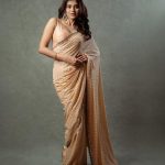 Hebah Patel : అబ్బా.. చీరలో హెబ్బా కేక.. వయ్యారాలతో చంపేస్తుంది..!
