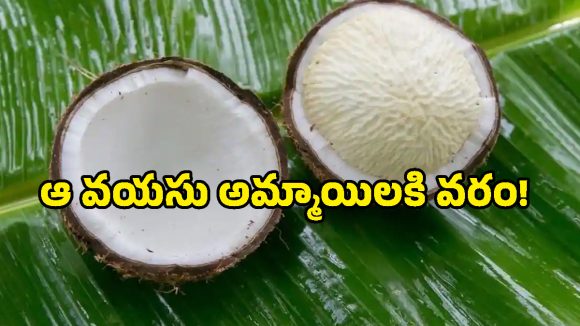 ఆడపిల్లలు ఉన్న ప్రతి ఇంట్లో ఉండాల్సిన మ్యాజికల్ ఫుడ్.. కొబ్బరి పువ్వుతో ఇన్ని లాభాలా?