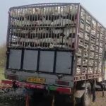 ఏపీలో వేర్వేరు ప్రాంతాల్లో ఘోర రోడ్డు ప్రమాదం.. విశాఖలో రెండు వాహనాలను ఢీ కొట్టిన బొలెరో వ్యాన్