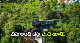 రియల్‌మీ నుంచి 8000mAh బ్యాటరీతో కొత్త ఫోన్.. బడ్జెట్ ధరలో వావ్ అనిపించే ఫీచర్లు!