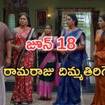 Illu Illalu Pillalu Today Episodes: కోడలి కోరిక తీర్చిన రామరాజు.. ఫిట్టింగ్ పెట్టిన శ్రీవల్లి.. రైస్ మిల్లులో దొంగతనం..