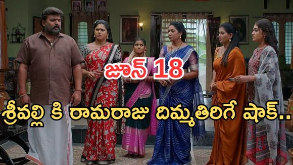 Illu Illalu Pillalu Today Episodes: కోడలి కోరిక తీర్చిన రామరాజు.. ఫిట్టింగ్ పెట్టిన శ్రీవల్లి.. రైస్ మిల్లులో దొంగతనం..