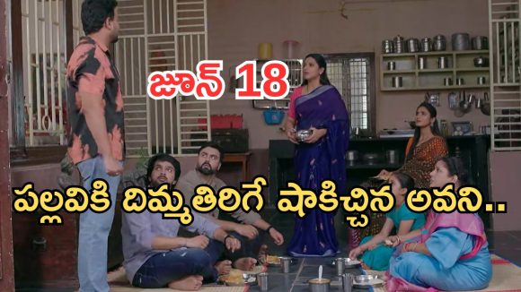 Intinti Ramayanam Today Episode: పల్లవి vs అవని.. కమల్ పై పల్లవికి అనుమానం.. సుబ్బారావు దొరికేశాడోచ్..