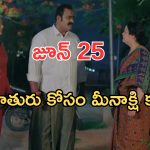 Intinti Ramayanam Today Episode: మీనాక్షిని అవమానించిన పల్లవి..మీనాక్షికి నిజం చెప్పిన అవని.. సెంటిమెంట్ సీన్..