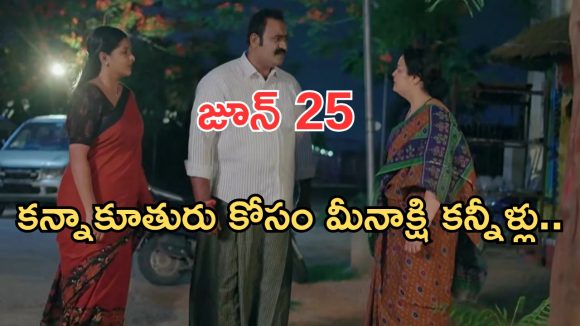 Intinti Ramayanam Today Episode: మీనాక్షిని అవమానించిన పల్లవి..మీనాక్షికి నిజం చెప్పిన అవని.. సెంటిమెంట్ సీన్..