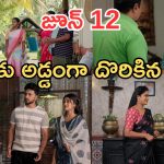 Illu Illalu Pillalu Today Episodes: శ్రీవల్లికి టెన్షన్.. నర్మద కు భాగ్యం పై అనుమానం.. భద్రకు ఘోర అవమానం..
