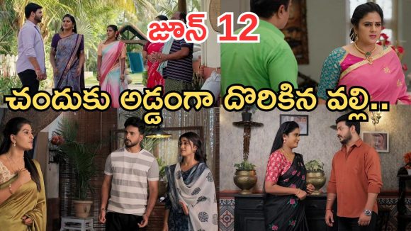 Illu Illalu Pillalu Today Episodes: శ్రీవల్లికి టెన్షన్.. నర్మద కు భాగ్యం పై అనుమానం.. భద్రకు ఘోర అవమానం..