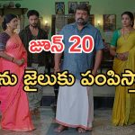 Illu Illalu Pillalu Today Episodes: అమూల్య పై విశ్వం రివేంజ్.. రామారాజుకు కోర్టు నోటీసులు.. ప్రేమకు కొత్త టెన్షన్..