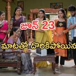 Illu Illalu Pillalu Today Episodes: శ్రీవల్లి దిమ్మతిరిగే షాక్.. నర్మద దెబ్బకు ఫ్యూజుల్ అవుట్.. వేదవతి మాటతో మైండ్ బ్లాక్..