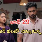 Illu Illalu Pillalu Today Episodes: వల్లి కడుపులేదని తెలిసిందా..? ప్రేమకు మైండ్ బ్లాక్.. వేదవతి మాటతో నర్మద షాక్..