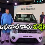 భారత ఆటో రంగంలో సరికొత్త అధ్యాయం.. ఫస్ట్ ఫ్లెక్స్ ఫ్యూయల్ వాగన్ ఆర్ విడుదల!