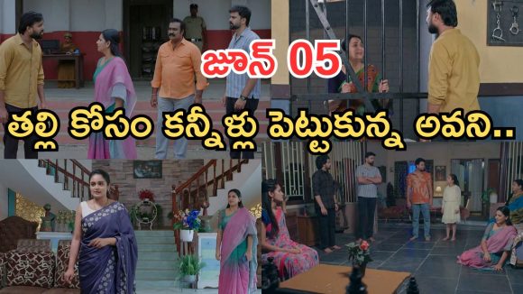 Intinti Ramayanam Today Episode: అవనికి ఘోర అవమానం.. అవనికి పల్లవి దిమ్మతిరిగే షాక్..కన్నీళ్లు పెట్టుకున్న పార్వతి..
