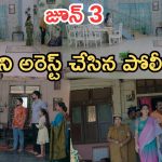 Intinti Ramayanam Today Episode: అవని పై పల్లవి రివేంజ్.. అవనిపై పోలీస్ కంప్లైంట్.. మీనాక్షి అరెస్ట్..?