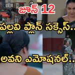 Intinti Ramayanam Today Episode: మీనాక్షికి కోర్టులో షాక్.. పల్లవి ప్లాన్ సక్సెస్..అయ్యో సుబ్బారావు ఎంత పని చేశావ్..