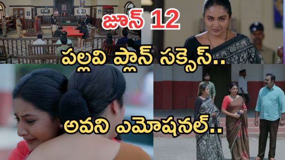 Intinti Ramayanam Today Episode: మీనాక్షికి కోర్టులో షాక్.. పల్లవి ప్లాన్ సక్సెస్..అయ్యో సుబ్బారావు ఎంత పని చేశావ్..