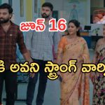 Intinti Ramayanam Today Episode: చక్రధర్ కు కన్నీళ్లు.. పల్లవి ప్లాన్ సక్సెస్.. మీనాక్షి చనిపోయిందా..?