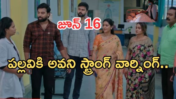 Intinti Ramayanam Today Episode: చక్రధర్ కు కన్నీళ్లు.. పల్లవి ప్లాన్ సక్సెస్.. మీనాక్షి చనిపోయిందా..?