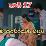 Intinti Ramayanam Today Episode: పల్లవికి క్లాస్ పీకిన భానుమతి.. కన్నీళ్లు పెట్టుకున్న మీనాక్షి.. పల్లవికి కమల్ వార్నింగ్..