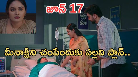 Intinti Ramayanam Today Episode: పల్లవికి క్లాస్ పీకిన భానుమతి.. కన్నీళ్లు పెట్టుకున్న మీనాక్షి.. పల్లవికి కమల్ వార్నింగ్..