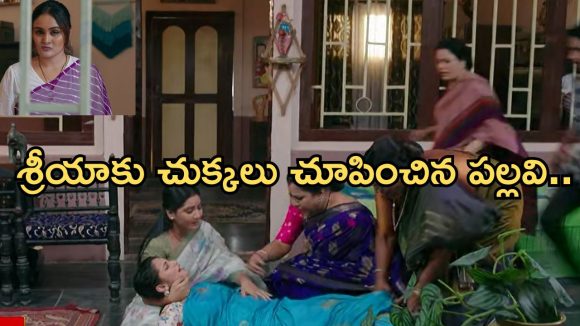 Intinti Ramayanam Today Episode: పల్లవికి శ్రీయ స్ట్రాంగ్ కౌంటర్.. కడుపుమంటతో రగిలిపోయిన పల్లవి.. శ్రీయా కడుపు పోతుందా..?