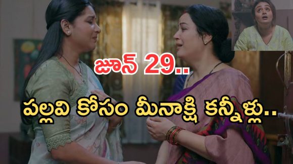 Intinti Ramayanam Today Episode: పల్లవికి దిమ్మతిరిగే షాకిచ్చిన కమల్.. కన్నీళ్లు పెట్టుకున్న మీనాక్షి.. శ్రీయకు పల్లవి ఝలక్..