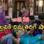 Intinti Ramayanam Today Episode: పల్లవి ప్లాన్ సక్సెస్.. శ్రీయాకు నొప్పులు..చివరిలో ట్విస్ట్ అదిరింది..