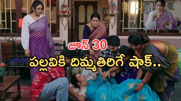 Intinti Ramayanam Today Episode: పల్లవి ప్లాన్ సక్సెస్.. శ్రీయాకు నొప్పులు..చివరిలో ట్విస్ట్ అదిరింది..