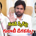 రేపే జనసేన సభ.. పవన్‌కు బీఆర్ఎస్ ఉచ్చు.. బాబు ఫార్ములా రిపీట్ కానుందా?