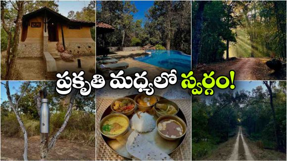 గ్రామస్థులు నడిపే లాడ్జ్‌.. యాత్రికులు ఎందుకు ఫిదా అవుతున్నారంటే?