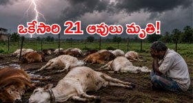 వైభ‌వ్ ఇంకా స్కూల్ కు వెళ్లే పిల్లాడే, ఘోరంగా అవ‌మ‌నించిన ఐసీసీ