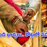 BMW కారు, 33 తులాల బంగారం, 25 మంది భార్యలు.. ఒకే ఒక్క ఫిర్యాదుతో బయటపడ్డ షాకింగ్ నిజాలు!